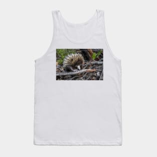 Echidna Encounter Tank Top